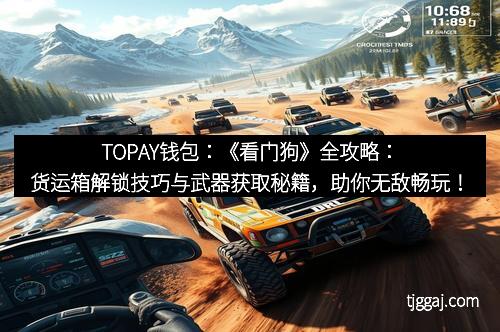 TOPAY钱包:《看门狗》全攻略:货运箱解锁技巧与武器获取秘籍,助你无敌畅玩! TOPAY钱包:《看门狗》全攻略:货运箱解锁技巧与武器获取秘籍,助你无敌畅玩!